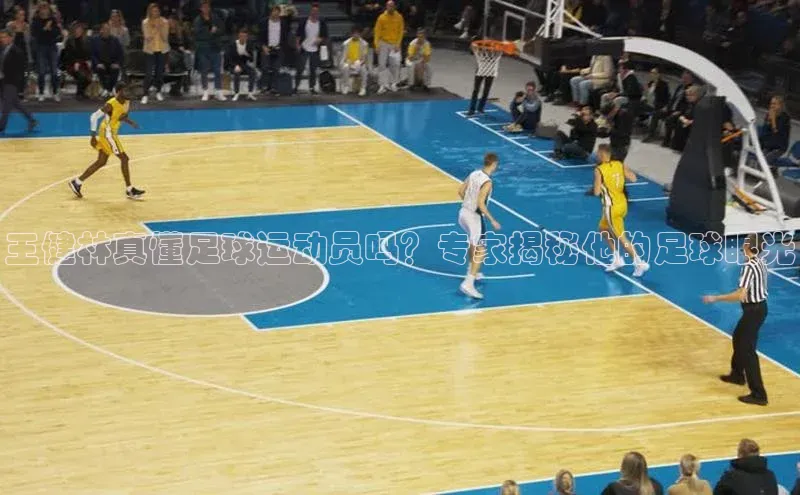 谈球吧网站金山办公王健林真懂足球运动员吗？专家揭秘他的足球眼光