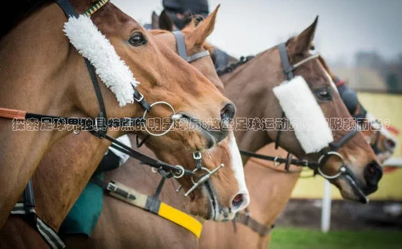 谈球吧(中国)官方网站天键股份探索足球界独具特点的明星球员:这些足球运动员如何脱颖而出?