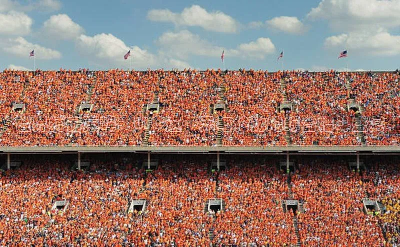 谈球吧体育app下载官网百度学术世界搏击巅峰：UFC这一无与伦比的综合格斗盛宴