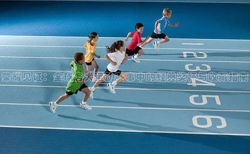 荣耀见证：全球各大运动赛事中的经典奖杯与收藏指南