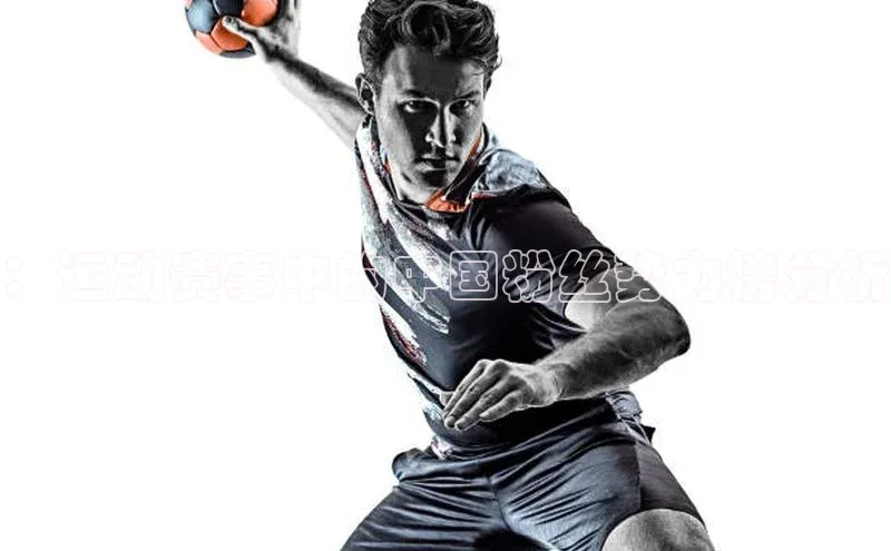 ：运动赛事中的中国粉丝势力榜分析