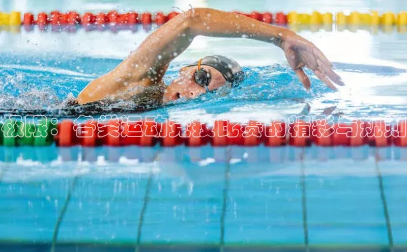 极限：各类运动竞技比赛的精彩与规则