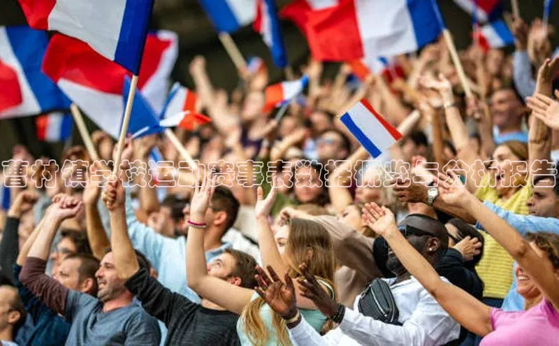 曹村镇学校运动赛事表数据概览与分析报告