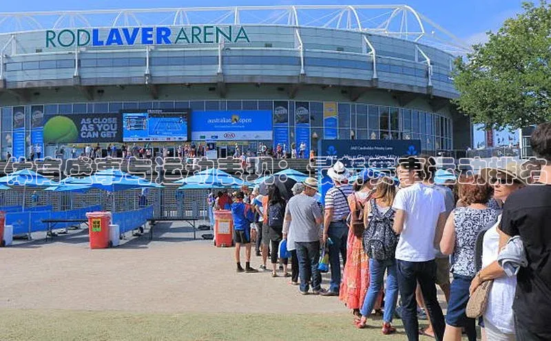 体育盛事与运动表现：最新赛事运动排名