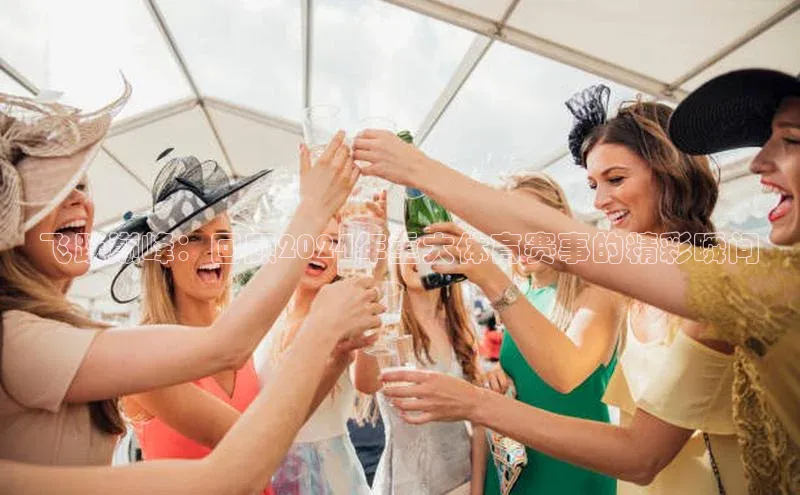 飞跃巅峰：回顾2024年重大体育赛事的精彩瞬间