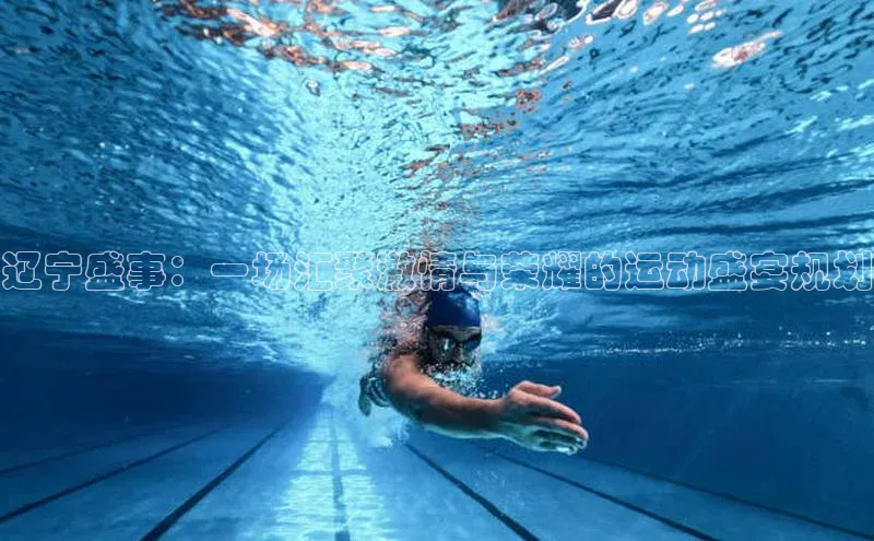 辽宁盛事：一场汇聚激情与荣耀的运动盛宴规划