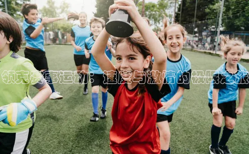 领克赛事运动：速度与激情的极限之旅