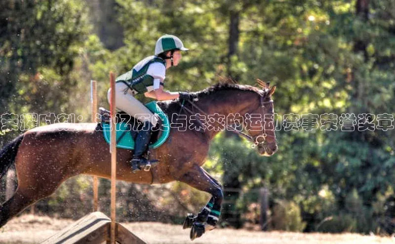 荣耀时刻：追忆历史与未来的运动赛事荣誉奖章