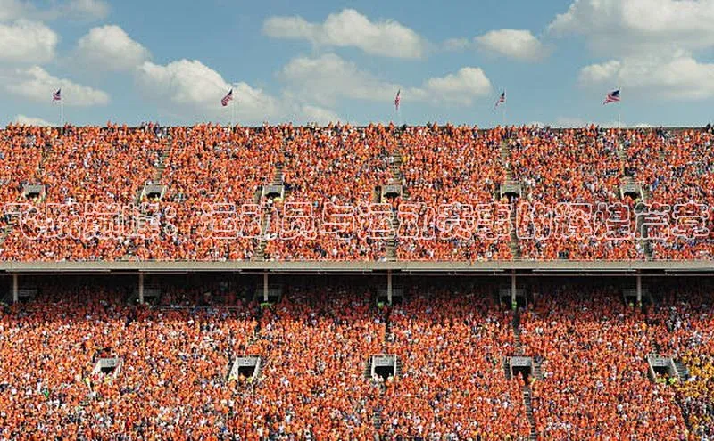 飞跃巅峰：运动员与运动赛事的辉煌篇章